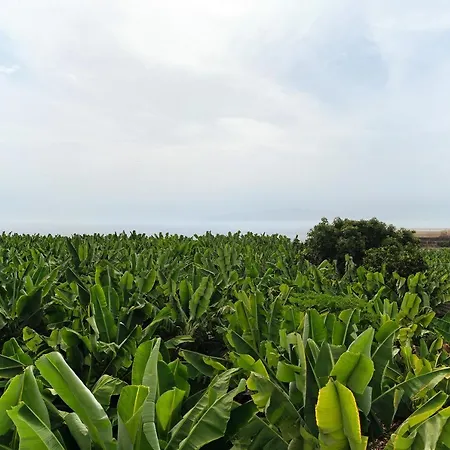 Playa La Arena Sea View 公寓 Santiago del Teide