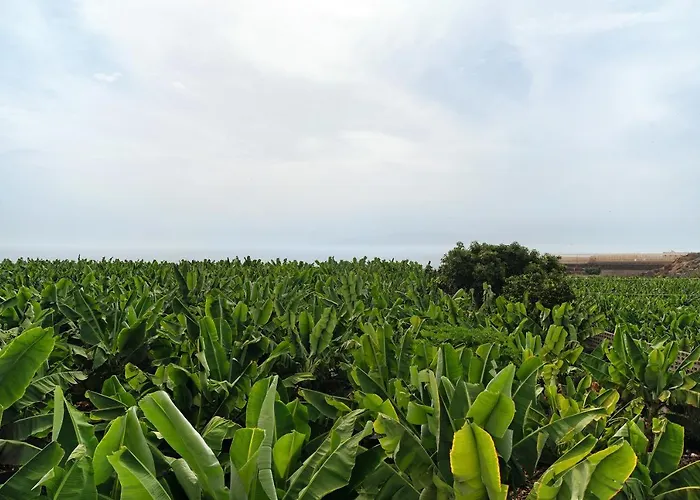 Playa La Arena Sea View Apartamento Santiago del Teide